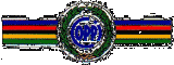 CP03 ADESIVO COPPI